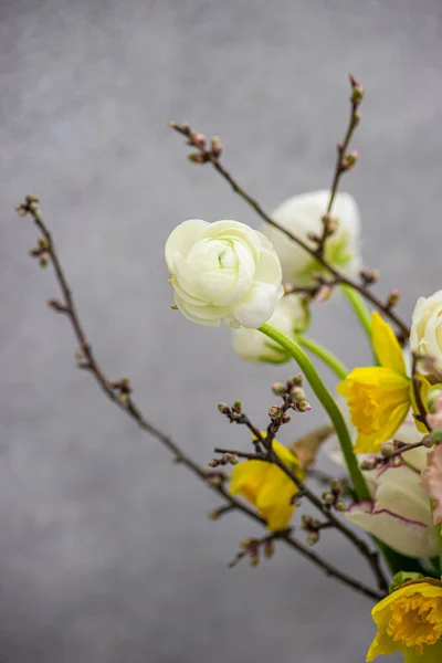 Vacker Vårbukett Med Säsongsbetonade Blommor Inredningen — Stockfoto