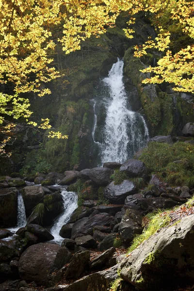 Waterfall Autumnal Forest Aspe Valley — Stock Photo, Image