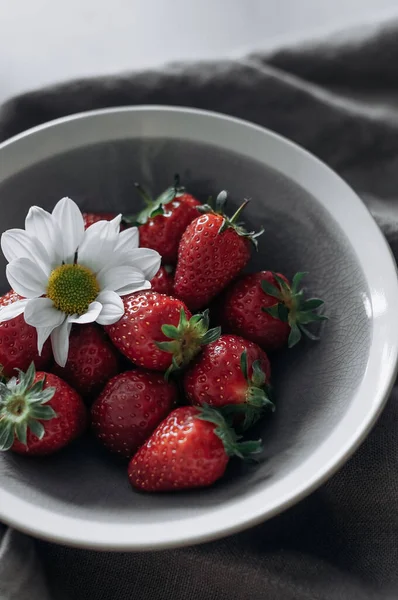 Ein Grauer Keramikteller Mit Erdbeeren Und Blume — Stockfoto