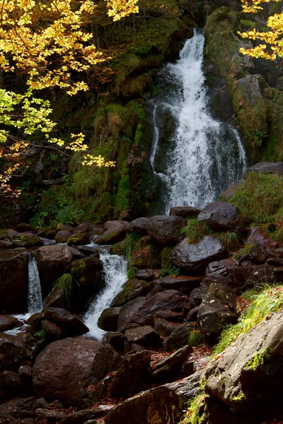 Waterfall Autumnal Forest Aspe Valley — Stock Photo, Image