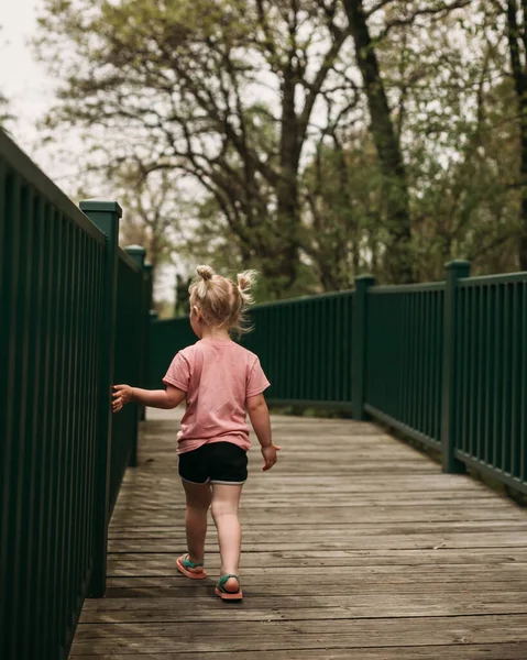 Criança Pequena Andando Ponte Durante Caminhada Natureza — Fotografia de Stock