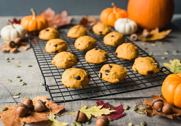 南瓜巧克力饼干放在有秋季装饰的钢丝冷却架上 — 图库照片
