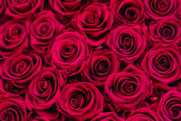 Rosas Rojas Fondo Amor Romántico — Foto de Stock