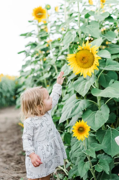 Dítě Užívá Slunečnicové Pole Oregonu — Stock fotografie