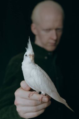 Siyah arka planda beyaz papağan olan albino bir adam.