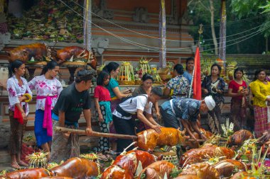 Pura Dalem Desa Timbrah 'da Usaba Sumbu töreni.