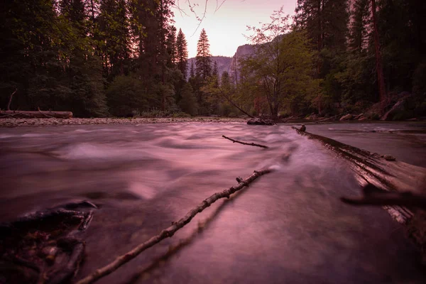 Merced River Tekoucí Zalesněnou Částí Yosemitského Údolí — Stock fotografie