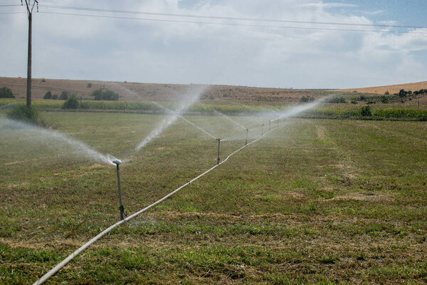 water field sprinklers in a summer day