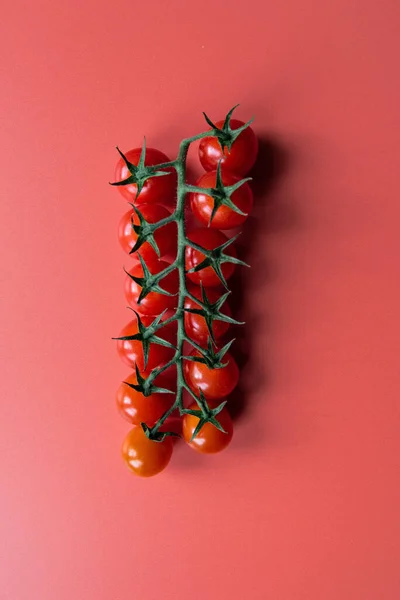 Ligne Verticale Tomates Sur Vigne — Photo