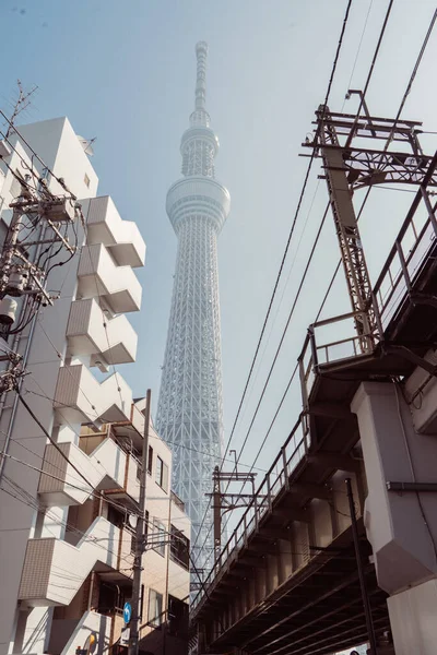 Stadtansicht Des Tokyo Skytree Von Asakusa — Stockfoto