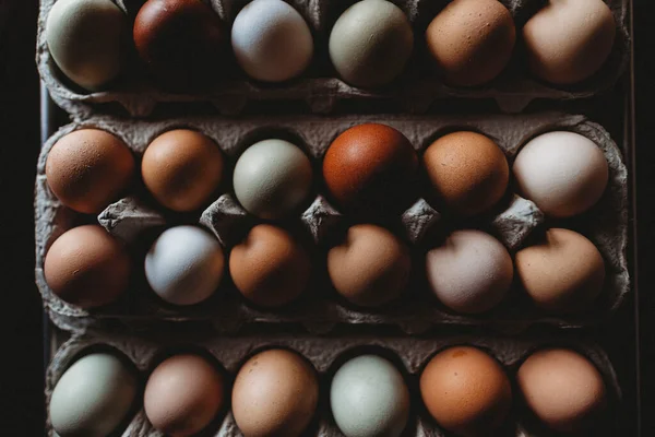 Shot Colorful Backyard Rustic Eggs — Stock Photo, Image