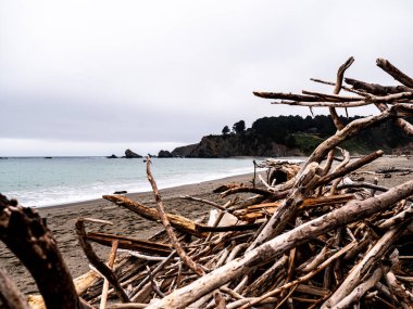 Sahilde dalgalanıp budaklanmış, arkada okyanus var.