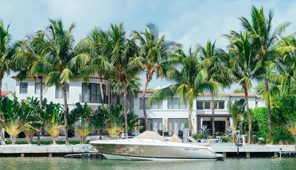 Boot Auf Dem Fluss Palmen Miami — Stockfoto