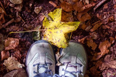 Abruzzo Milli Parkı 'nda yürüyüş