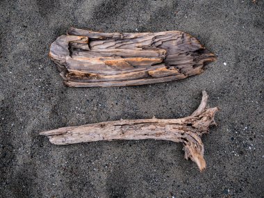 Mendocino, Ca 'da kumsalda iki parça sürüklenen ağaç.