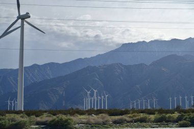 California 'ya yolculuk