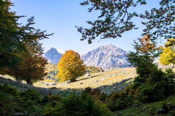 Napsütötte Völgy Abruzzo Nemzeti Park Ősszel Olaszország — Stock Fotó