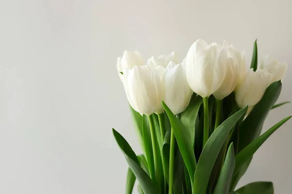 Tulip Flowers Bouquet White Color White Background Close Empty Copy — Stock Photo, Image