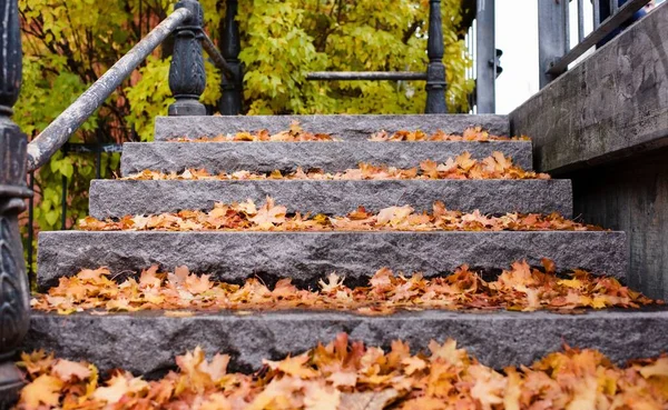 Kleurrijke Herfst Herfst Bladeren Stenen Treden Zweden — Stockfoto