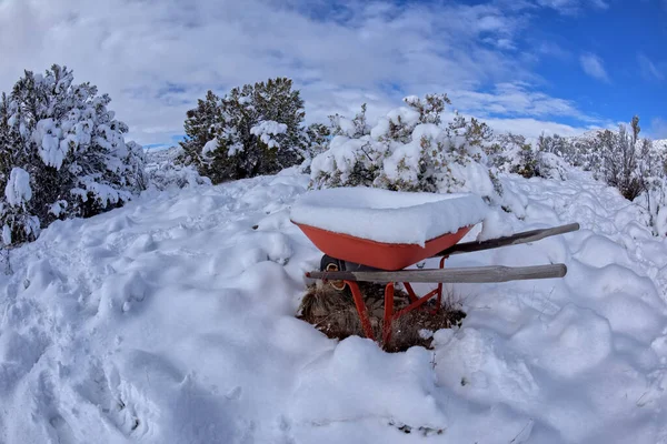 Snow Covered Wheel Barrow Winter Morning Chino Valley Arizona Taken — Stock Photo, Image