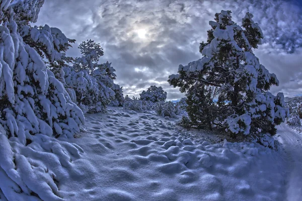 雪はアリゾナ州チノバレーで冬の朝の風景を覆いました 2023年3月撮影 — ストック写真