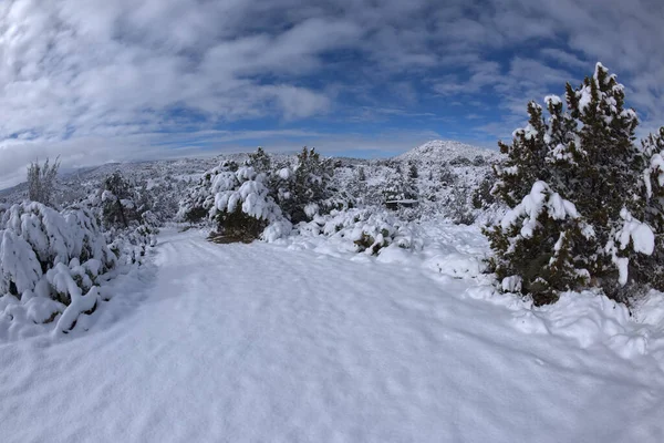 Passarela Coberta Neve Uma Manhã Inverno Chino Valley Arizona Tomado — Fotografia de Stock