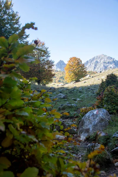 イタリア 秋のアブルッツォ国立公園の日当たりの良い谷 — ストック写真