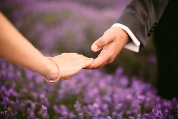 Par Som Håller Händerna Lavendelfält — Stockfoto