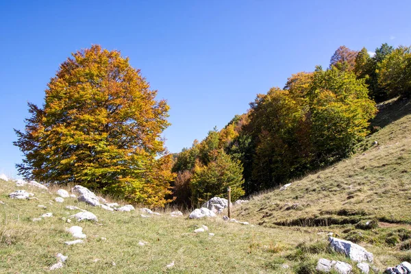 Sonbaharda Abruzzo Ulusal Parkı Nda Güneşli Bir Vadi Talya — Stok fotoğraf
