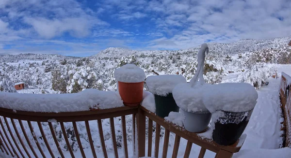 Vasi Fiori Innevati Una Mattina Inverno Chino Valley Arizona Preso — Foto Stock