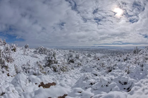Snötäckt Landskap Vintermorgon Chino Valley Arizona Taget Mars 2023 — Stockfoto