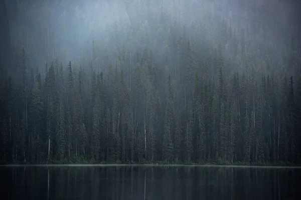 Pohled Jezero Mlhou — Stock fotografie