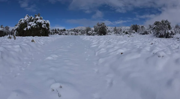 Chino Valley Arizona Kış Sabahı Kar Yolu Karla Kaplıydı Mart — Stok fotoğraf