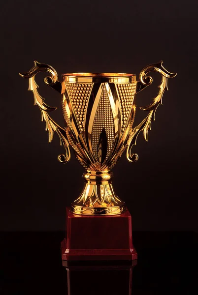 Coupe Trophée Sur Fond Noir — Photo