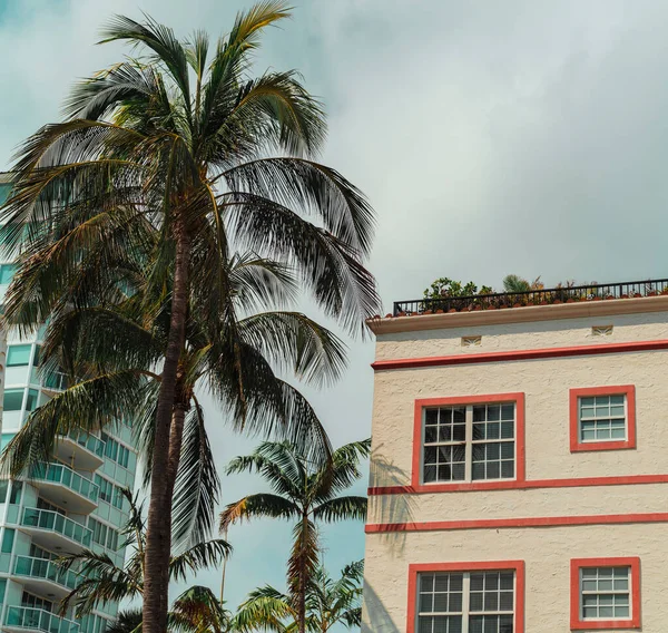 Пальмы Перед Зданием Miami Beach — стоковое фото