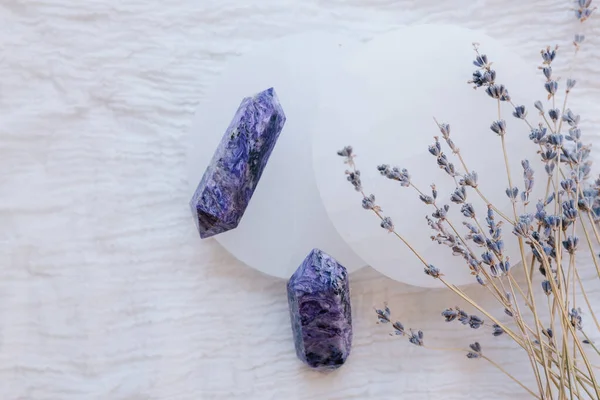 Purple Crystals Lavender Stems Spring Fresh — Stock Photo, Image