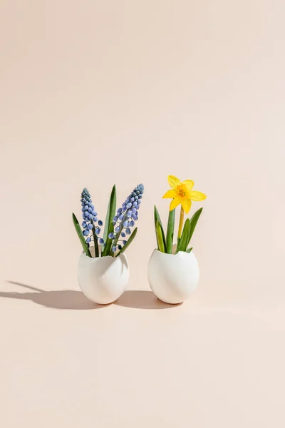 Spring first flowers growth from eggshells. creative minimal concep