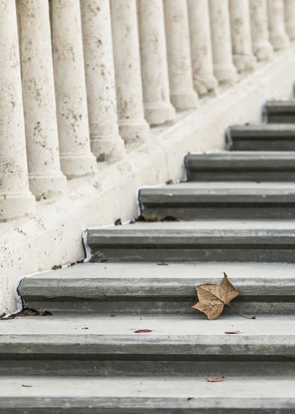 Brown autumn leaf on outdoor stairs
