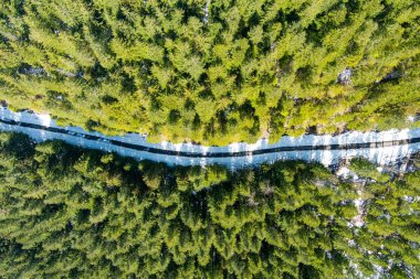 Cascade Range 'deki bir dağ yolunun havadan görüntüsü.
