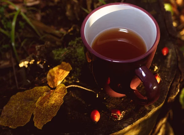 森の中の切り株でお茶とマグカップ 平置き 秋の気分と秋のコンセプト — ストック写真