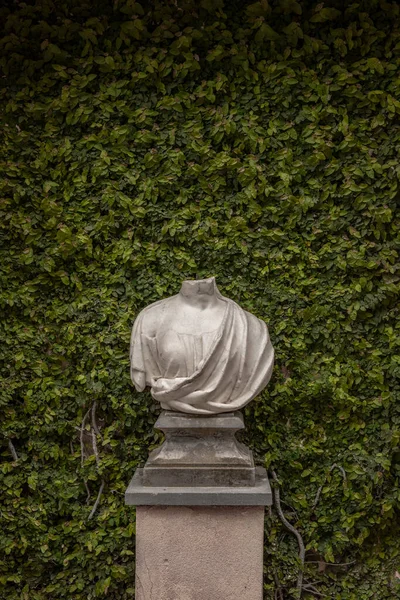 Başsız Heykel Gövdesi Bir Bitki Duvarının Önünde — Stok fotoğraf