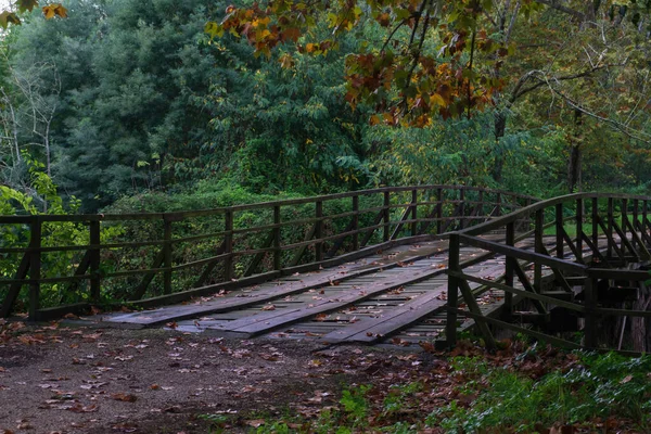 Ξύλινη Γέφυρα Κατά Μήκος Του Ποταμού Στο Φόντο Του Φθινοπώρου — Φωτογραφία Αρχείου