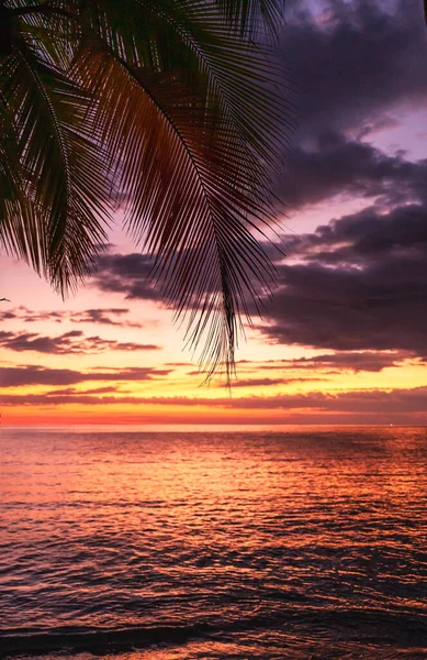 Красочный Закат Пляже Коста Рике — стоковое фото