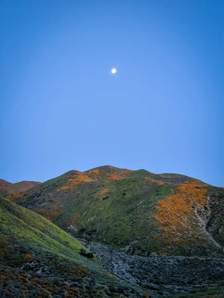 Moonrise Superbloom California — Stock fotografie