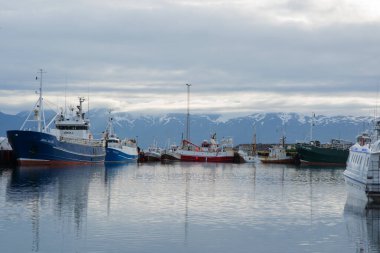 Husavik limanı, çok sayıda gemi ve uzaktaki karlı dağlar. İzlanda
