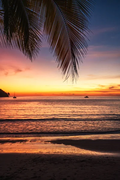 Smuk Farverig Solnedgang Tropisk Strand Costa Rica - Stock-foto