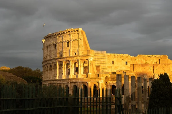 日没の太陽に照らされたローマのコロシアム — ストック写真