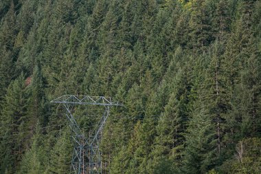 Yüksek voltajlı elektrik hatları orman yamacına zıt düşüyor..