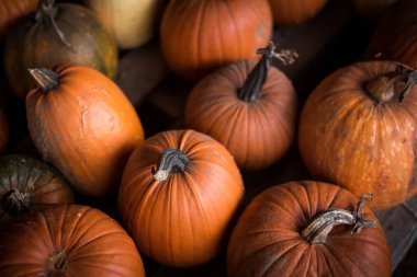 Yukarıdan gelen çeşitli balkabakları