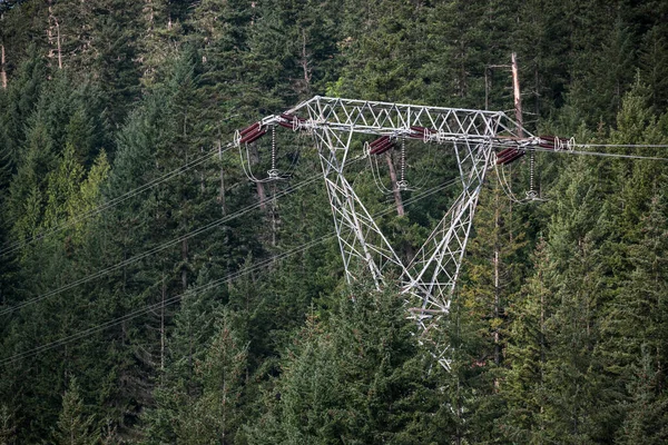 High Voltage Power Lines Contrasted Forested Hillside — Stock Photo, Image